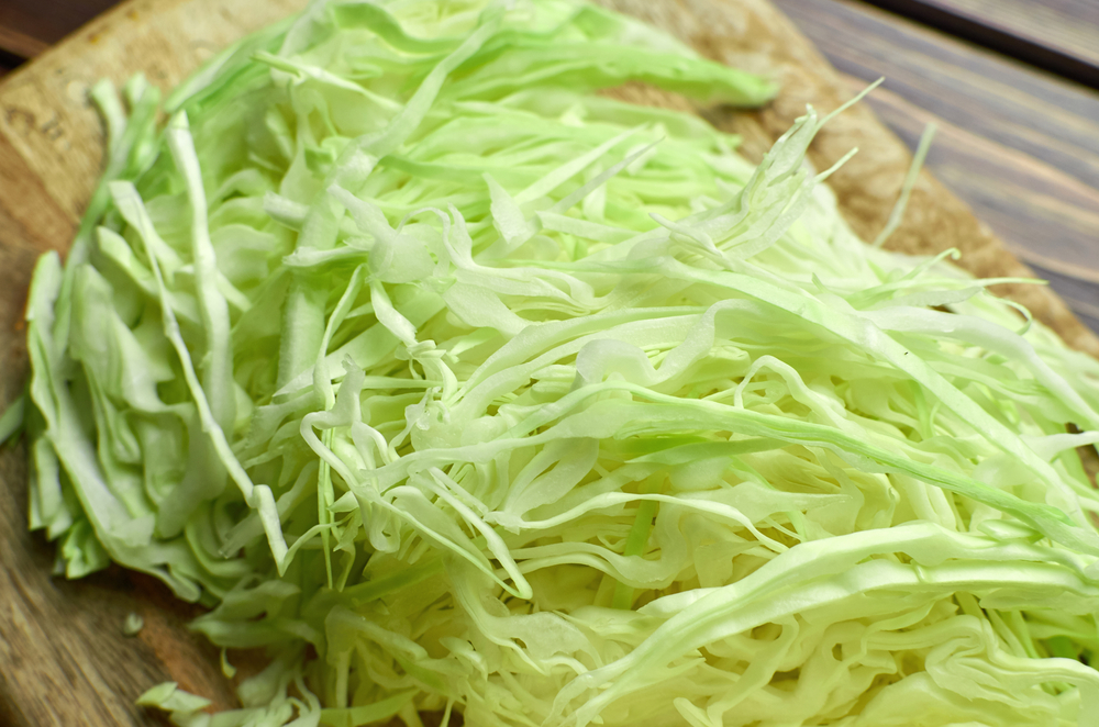 Can You Shred Cabbage in a Blender? 